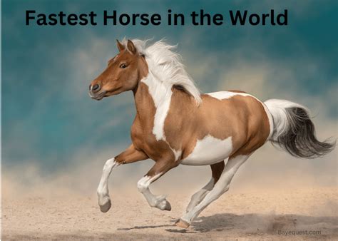 fastest horse recorded|The Fastest Horse In The World: Official Record Holders, Speed, .